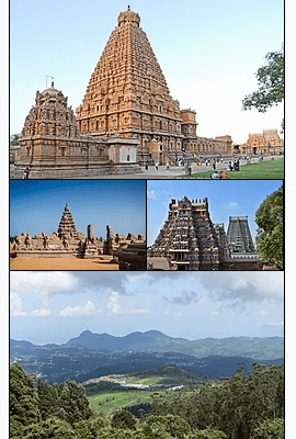 Tamil Nadu franchise business of mouth opening kit oral submucous fibrosis treatment in patanjali